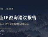 王通：商业IP重构线下1v1咨询精华分享（干货）